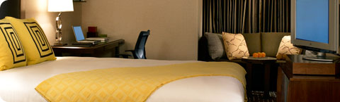 Luxury King room at Hotel Palomar Dallas