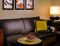 Luxury Suite